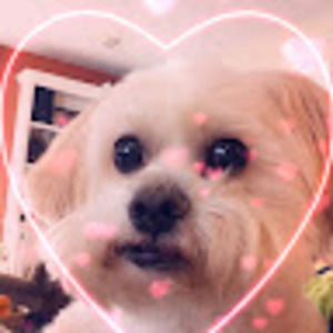 Meet your Posher, Cora